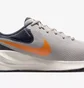 Кросівки чоловічі Nike Revolution 7 Grey FB2207-009