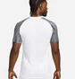 Футболка мужская Nike Dri-Fit Academy White DH8031-104