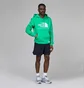 Худі чоловіче The North Face Berkeley California Hoodie Green NF0A55GFPO8