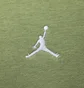 Толстовка мужская Air Jordan Essentials Full-Zip Fleece Hoodie Green FJ7771-340