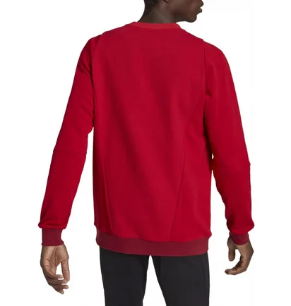 Свитшот мужской Adidas Sweatshirt Tiro23 C Co Cre Red HI4709
