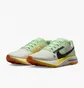 Кроссовки мужские Nike Zoomx Ultrafly Trail Vibram Beige/Green DX1978-102