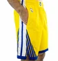Шорти чоловічі Nike Nba Golden State Warriors Swingman Yellow/Blue CV9560-728
