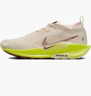 Кроссовки женские Nike Pegasus Trail 5 Gore-Tex Waterproof Trail Running Shoes Beige FQ0912-101