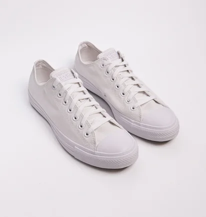 Кеды унисекс Converse Chuck Taylor All Star Mono Canvas Ox 1U647 White
