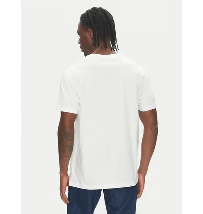 Футболка чоловіча Calvin Klein Monologo Regular Fit White J30J325649-YBI