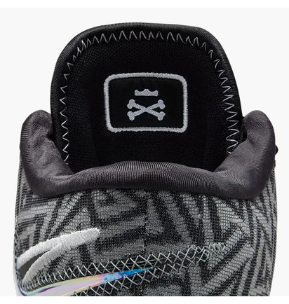 Кроссовки мужские Air Jordan Lebron Nxxt Genisus Black/White HF0712-004