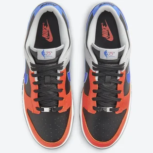 Кросівки чоловічі Nike Dunk LOW RETRO EMB Multi DD3363-002