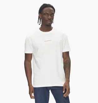 Футболка чоловіча Calvin Klein Monologo Regular Fit White J30J325649-YBI