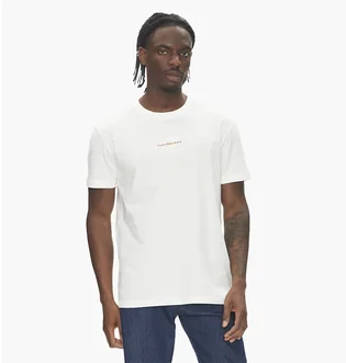 Футболка мужская Calvin Klein Monologo Regular Fit White J30J325649-YBI