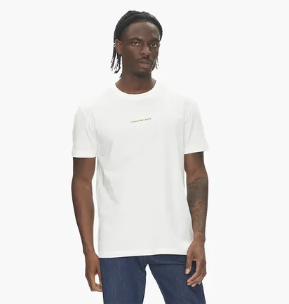 Футболка чоловіча Calvin Klein Monologo Regular Fit White J30J325649-YBI