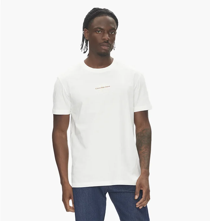Футболка чоловіча Calvin Klein Monologo Regular Fit White J30J325649-YBI