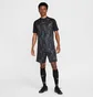 Шорты мужские Nike Academy+ Dri-Fit Soccer Shorts Black HJ3769-010