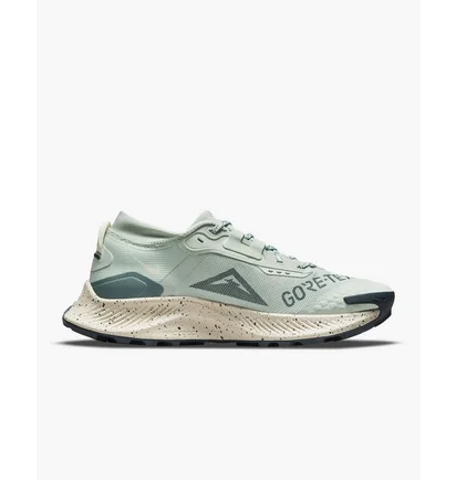 Кроссовки женские Nike Pegasus Trail 3 Gore-Tex Light Blue DC8794-003