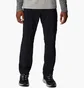 Штаны мужские Columbia Ridge Utility Black AM9184-010