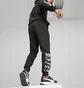 Штаны мужские Puma Essentials Block Camo Black 673339-01