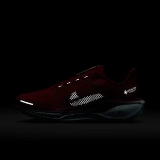 Кросівки жіночі Nike Pegasus Gore Tex Red HM8870-600
