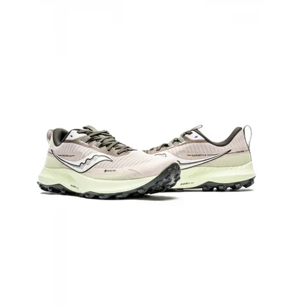 Кроссовки мужские Saucony Peregrine 13 Gtx Grey S20841-30