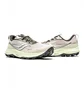 Кроссовки мужские Saucony Peregrine 13 Gtx Grey S20841-30