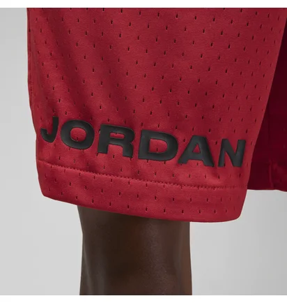 Шорты мужские Air Jordan M J Df Sprt Bc Hbr Mesh Short Red DZ0569-687