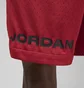 Шорты мужские Air Jordan M J Df Sprt Bc Hbr Mesh Short Red DZ0569-687