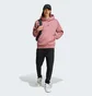 Худи мужское Adidas All Szn Fleece Hoodie Bordo IY4136
