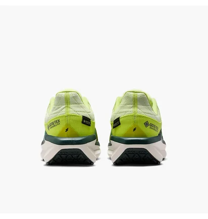 Кросівки жіночі Nike Winflo 11 Green FQ1359-300