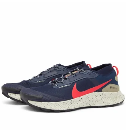 Кросівки чоловічі Nike Pegasus Trail 3 Gore-Tex Blue DC8793-401