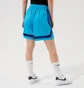 Шорты женские Nike W Nk Fly Crossover Sj Nba Blue DJ3902-434