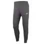 Штаны мужские Nike Nsw Club Jogger Ft Grey BV2679-071
