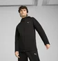 Толстовка мужская Puma Evostripe Full-Zip Hoodie Black 684613-01