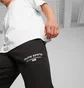 Штаны мужские Puma Team Black 621328-01