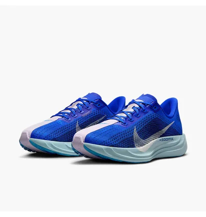 Кросівки чоловічі Nike Pegasus Plus Prm Blue HQ1719-400