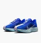 Кросівки чоловічі Nike Pegasus Plus Prm Blue HQ1719-400