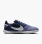 Футзалки унісекс Nike Streetgato Violet DC8466-500