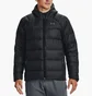 Куртка мужская Under Armour Down 2.0 Jkt-Blk Black 1372651-001
