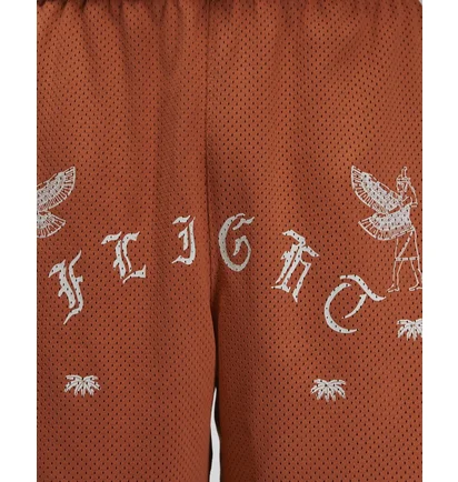 Шорты унисекс Air Jordan Artist Series By Umar Rashid Mesh Shorts Orange DX9720-812