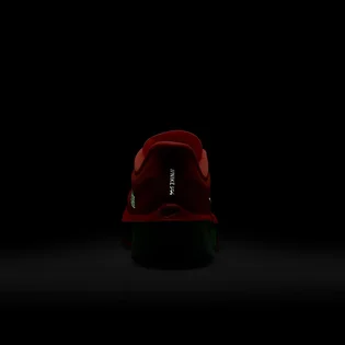 Кросівки чоловічі Nike Zoom Fly 6 Red FN8454-601