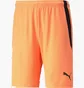 Шорти чоловічі Puma Teamliga Shorts Orange 704924-21