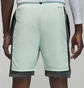 Шорты мужские Air Jordan M J Df Sprt Stmt Short Green Dm1829-379