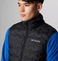 Жилетка чоловіча Columbia Delta Ridge Down Vest Black 2086261010