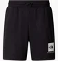Шорты мужские The North Face Box Nse Regular Black NF0A8C1JKY4