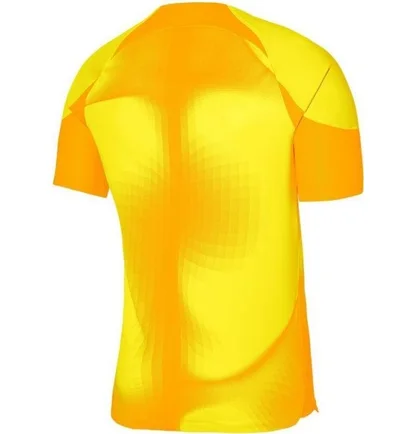 Футболка чоловіча Nike Jersey Dri-Fit Adv Gardien 4 Goalkeeper Ss Yellow DH7760-719