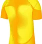 Футболка чоловіча Nike Jersey Dri-Fit Adv Gardien 4 Goalkeeper Ss Yellow DH7760-719
