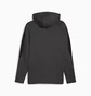 Толстовка мужская Puma Evostripe Core Fz Hoodie Black 631529-07