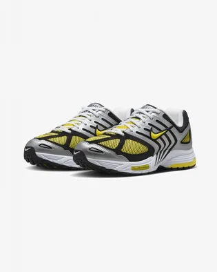 Кроссовки женские Nike Air Pegasus 2005 Metallic HQ5718-100