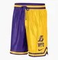 Шорты мужские Nike Los Angeles Lakers Courtside Violet/Yellow Dr9350-728
