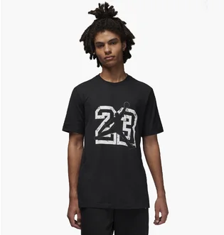 Футболка мужская Air Jordan Flt Ess Jm Crew Black FB7394-011