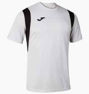 Футболка мужская Joma Dinamo White 100446.200