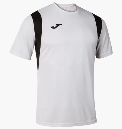 Футболка мужская Joma Dinamo White 100446.200